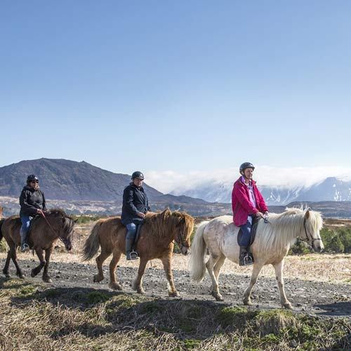Riding Icelandic Horses