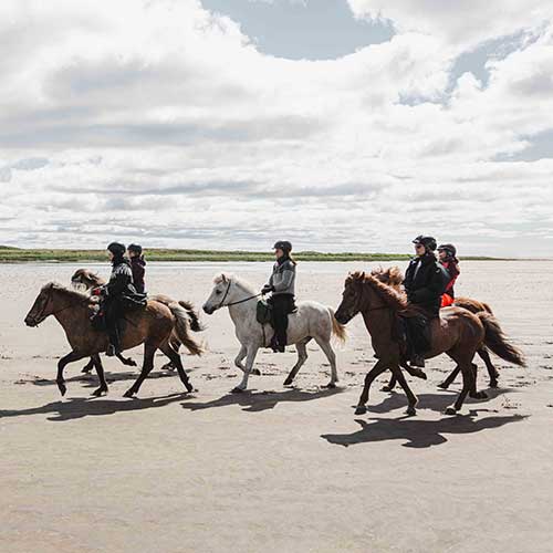 Beach Ride Snaefellsnes© Islandshestar