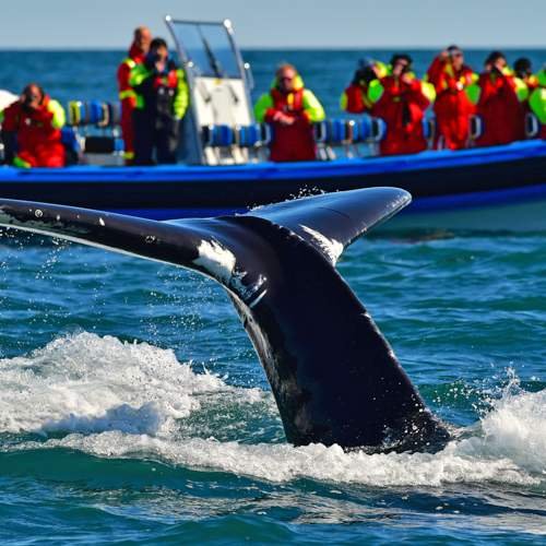 Iceland ProTravel picture