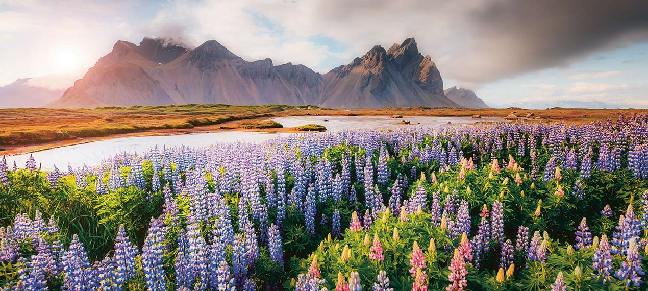 Iceland ProTravel picture
