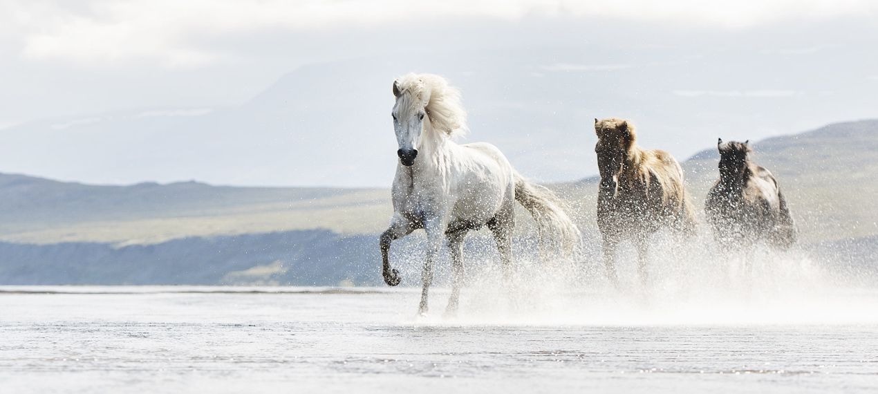 Iceland ProTravel picture