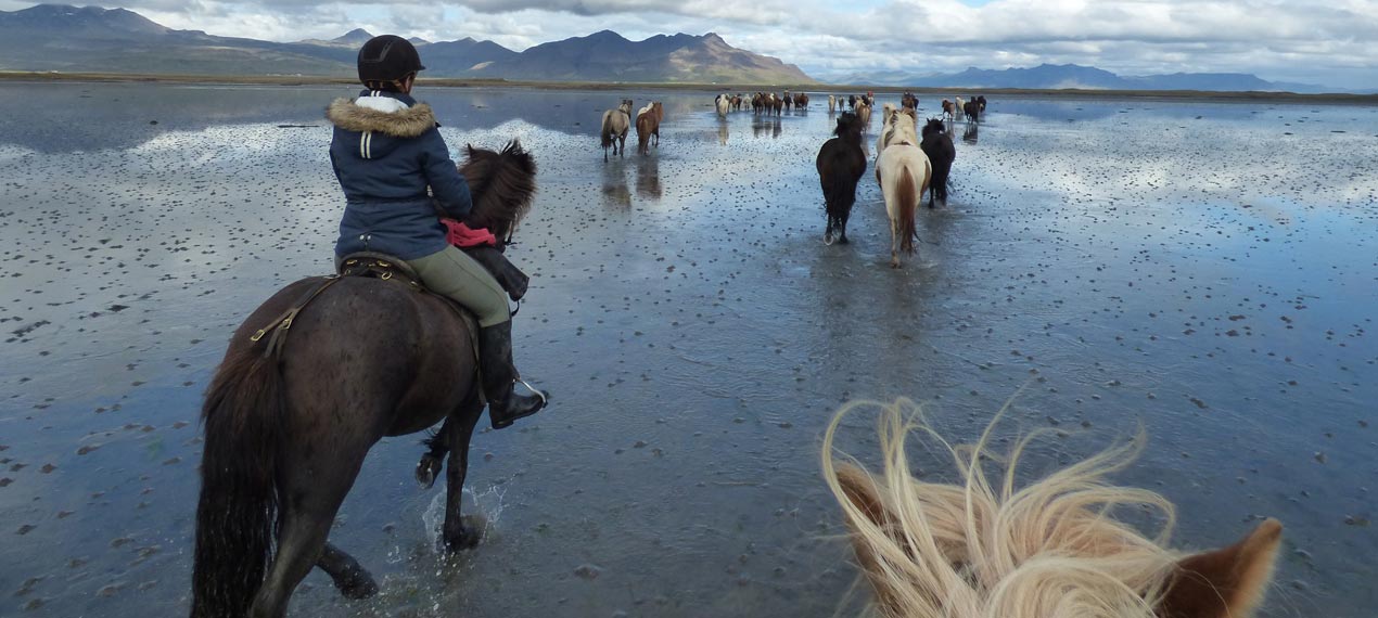 Iceland ProTravel picture