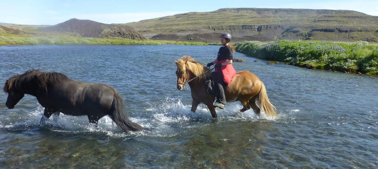 Iceland ProTravel picture