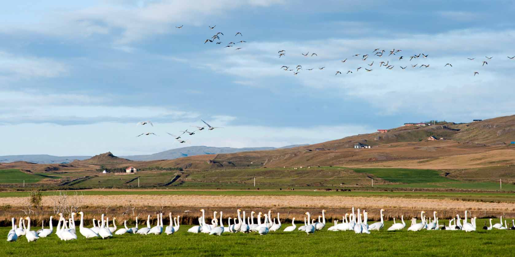 Iceland ProTravel