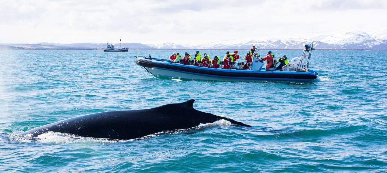 Iceland ProTravel picture
