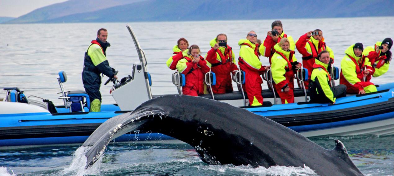 Iceland ProTravel picture