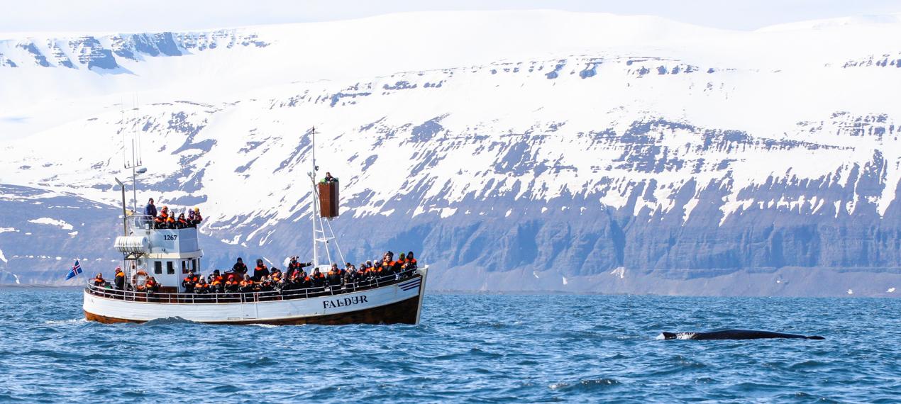 Iceland ProTravel picture