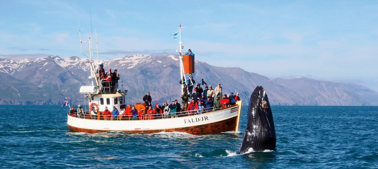 Iceland ProTravel picture