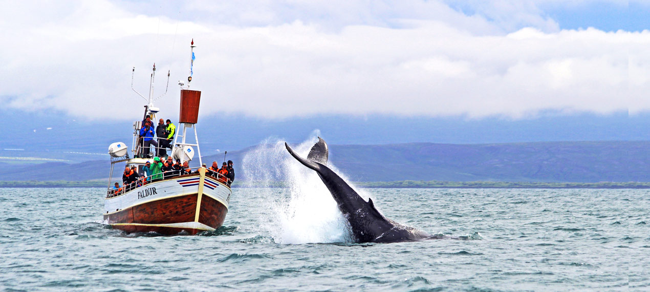 Iceland ProTravel picture