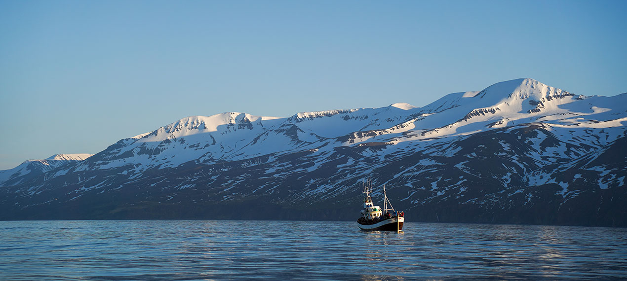 Iceland ProTravel picture