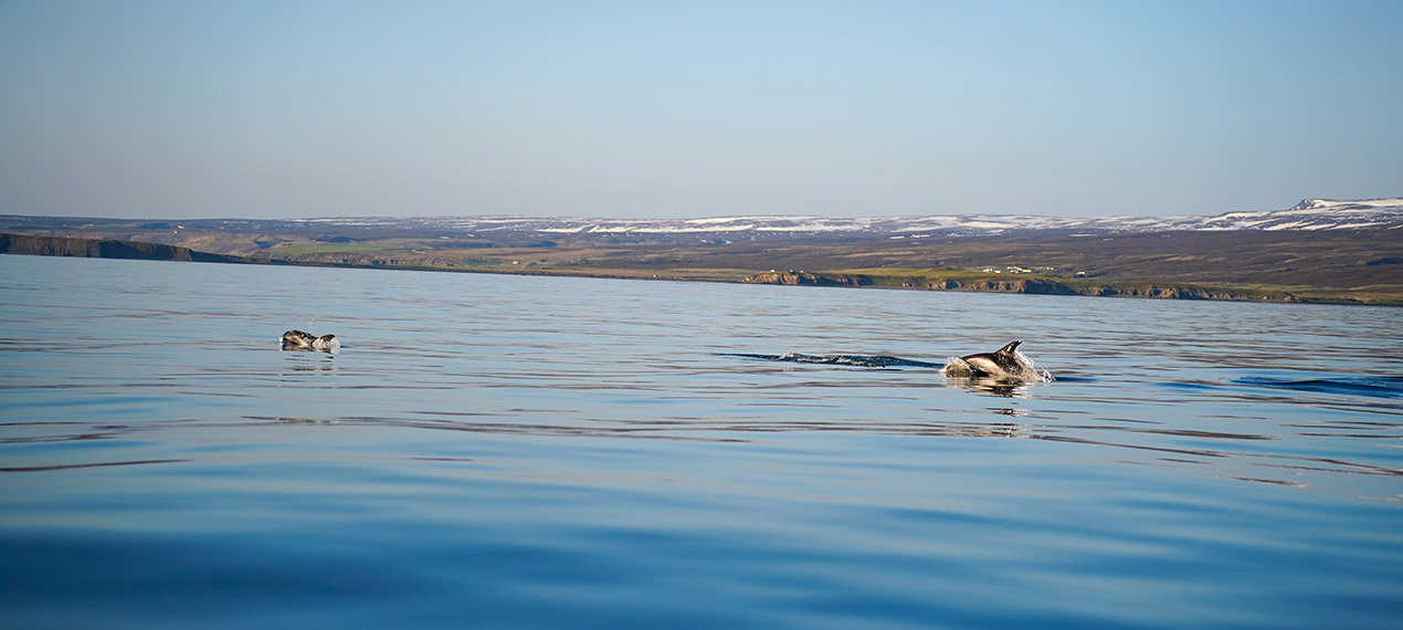 Iceland ProTravel picture