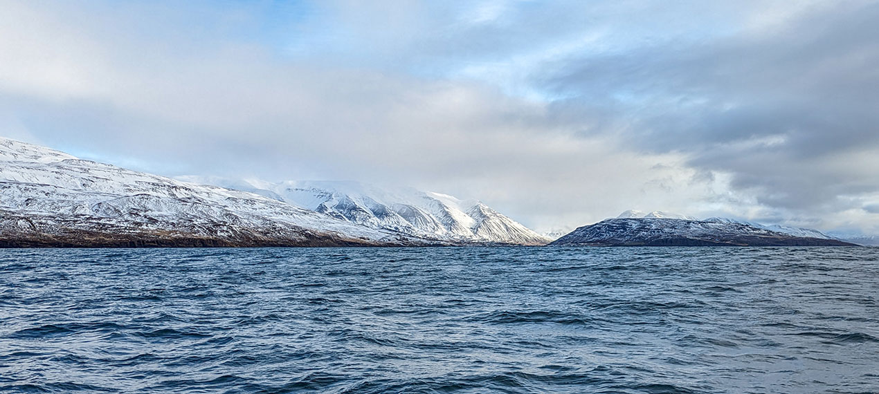 Iceland ProTravel picture
